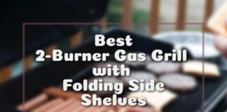 Best 2-Burner Gas Grill with Folding Side Shelves