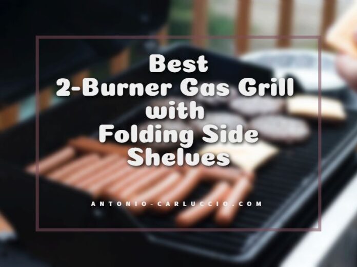 Best 2-Burner Gas Grill with Folding Side Shelves